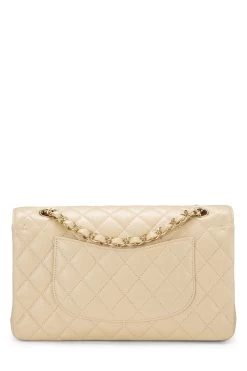 Chanel Beige Quilted Caviar Classic Double Flap Medium -Fashion clothing Q6B0100FI0120 4