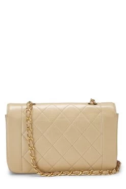 Chanel Beige Quilted Lambskin Diana Flap Small -Fashion clothing Q6B0MW1II1029 4