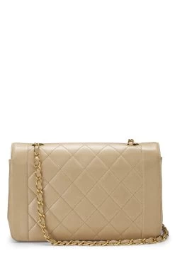 Chanel Beige Quilted Lambskin Diana Flap Medium -Fashion clothing Q6BGGN1II0001 4