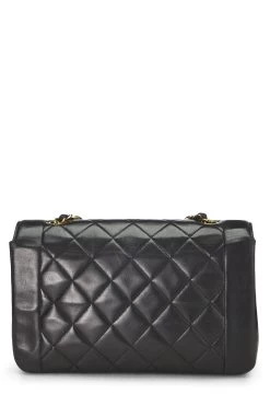 Chanel Black Quilted Lambskin Diana Flap Medium -Fashion clothing Q6BGGN1IK0015 4