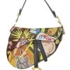 Christian Dior Multicolor Embellished Saddle